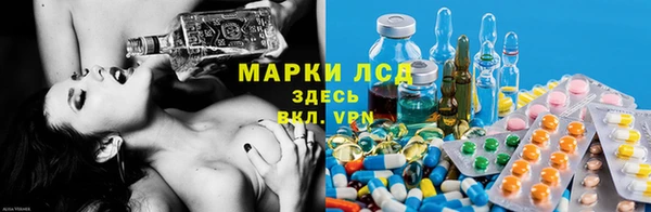 ПСИЛОЦИБИНОВЫЕ ГРИБЫ Белоозёрский