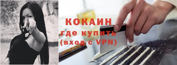ПСИЛОЦИБИНОВЫЕ ГРИБЫ Белоозёрский