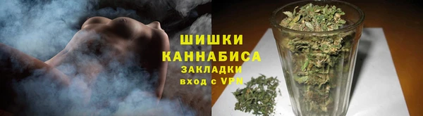 ПСИЛОЦИБИНОВЫЕ ГРИБЫ Белоозёрский