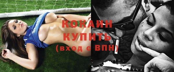 молекула духа Белокуриха