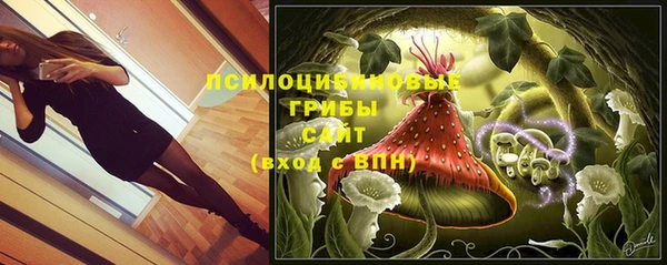 ПСИЛОЦИБИНОВЫЕ ГРИБЫ Белоозёрский