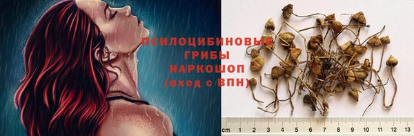 молекула духа Белокуриха