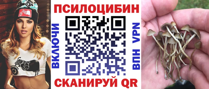 МЕГА зеркало  Павловск  Псилоцибиновые грибы прущие грибы  где купить  